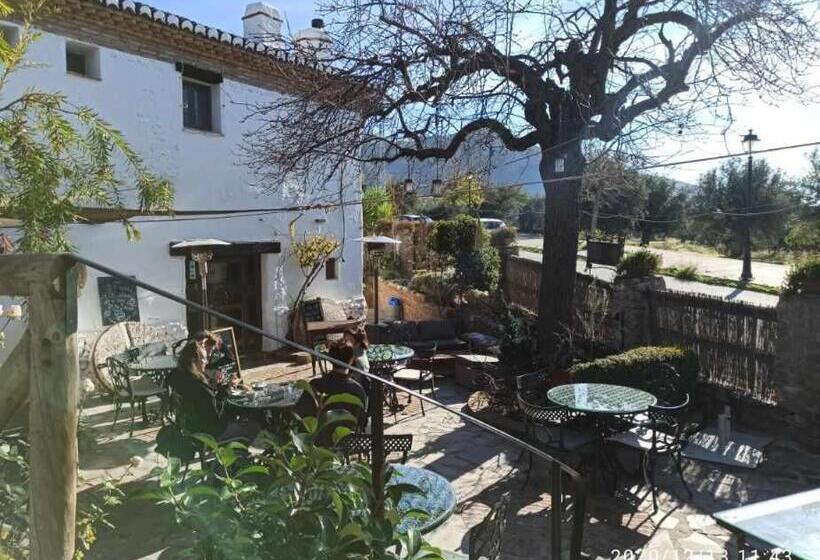 가든 전망 주니어 스위트, Rural Alqueria De Los Lentos