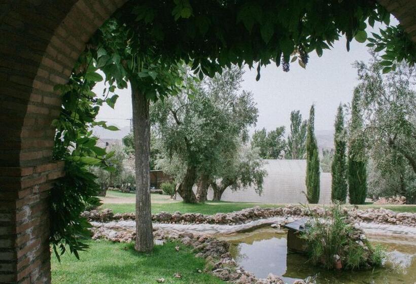 가든 전망 주니어 스위트, Rural Alqueria De Los Lentos
