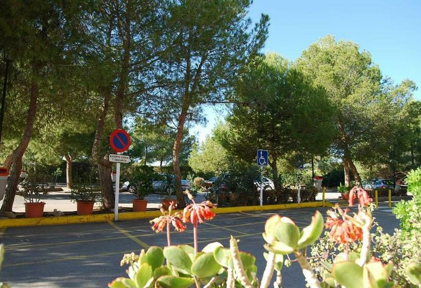 Апартаменты 2 Спальни с Террасой, Palmera Beach