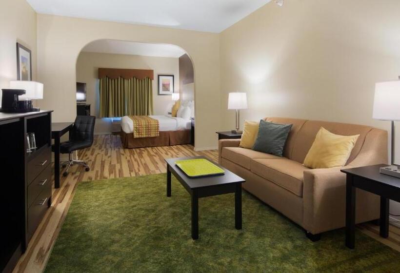 Люкс Адаптированный для Инвалидов, Best Western Plus Des Moines West Inn & Suites
