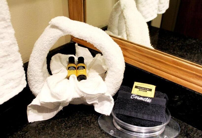Люкс Адаптированный для Инвалидов, Best Western Plus Des Moines West Inn & Suites
