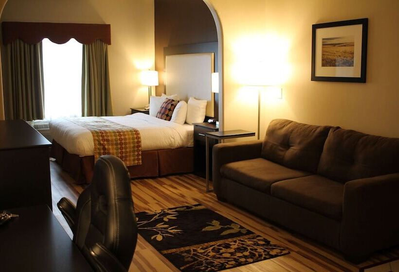 Люкс, Best Western Plus Des Moines West Inn & Suites