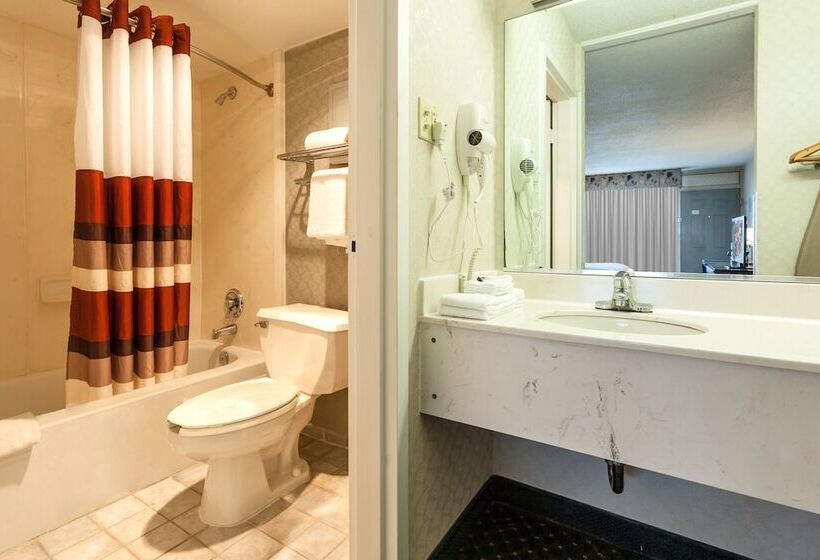 Номер Стандарт 2 Двуспальные Кровати, Red Roof Inn & Suites Dekalb