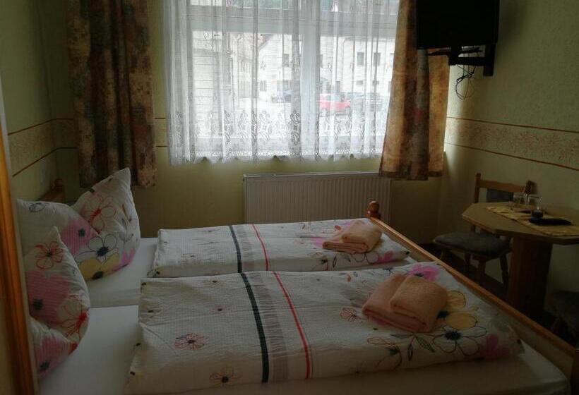 Номер Economy, Gästehaus Sachsenstübel