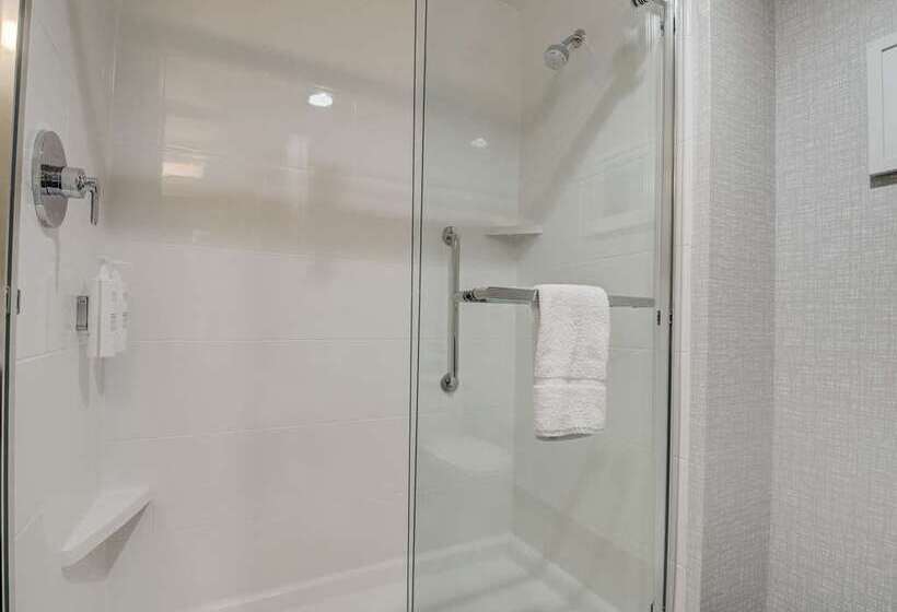 חדר סטנדרט, Hampton Inn Hastings