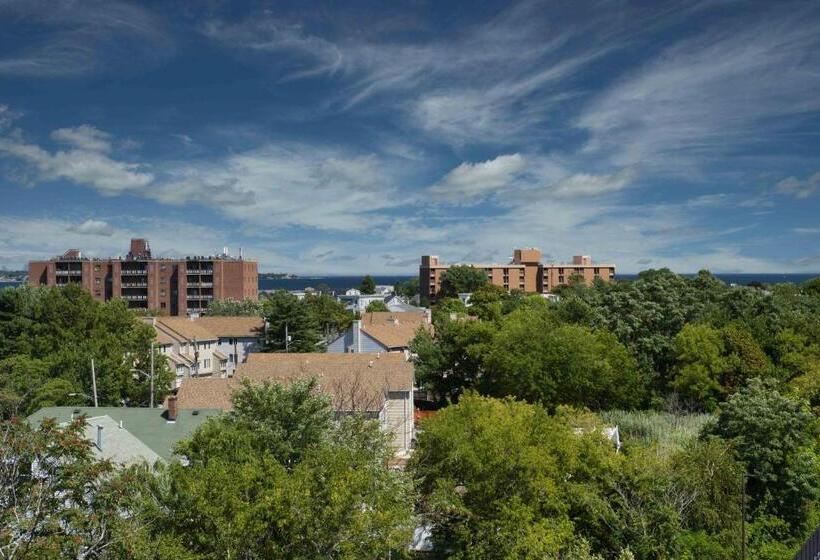 스탠다드 스튜디오 킹침대, Staybridge Suites   Boston Logan Airport   Revere, An Ihg