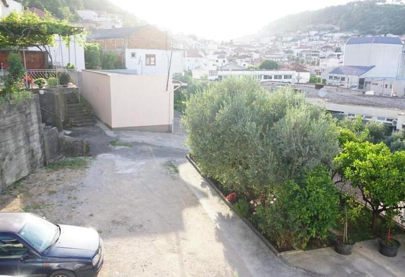 استودیوی استاندارد, Guesthouse Sinani