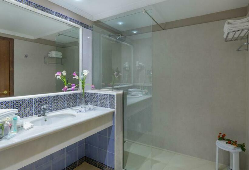 이코노미 룸, Hipotels Natura Palace - Adults Only