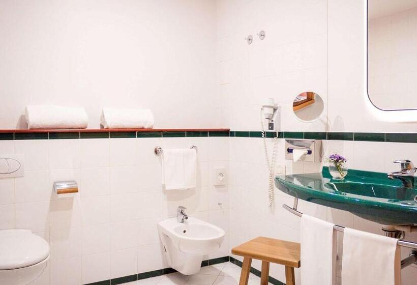 اتاق کلاسیک, Mercure Roma Corso Trieste