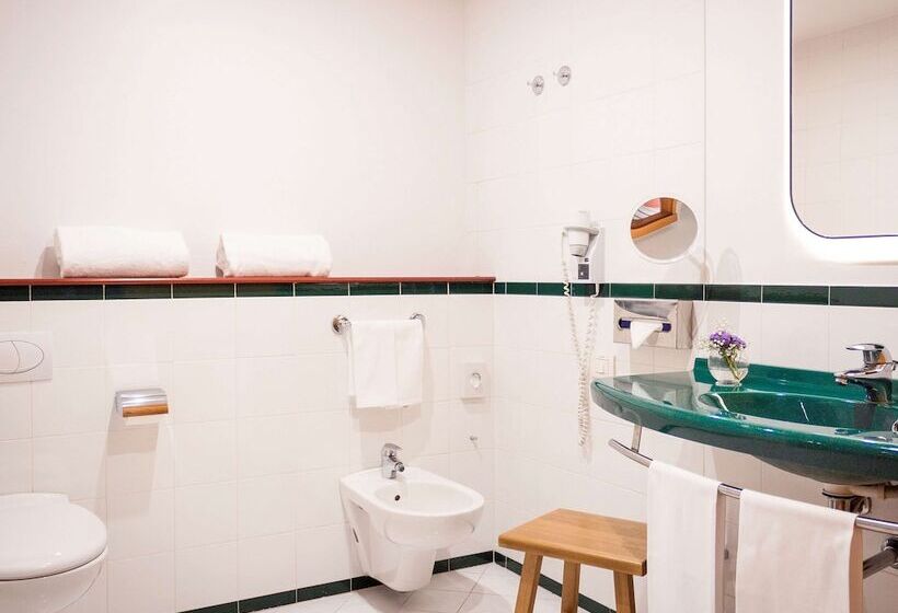 اتاق کلاسیک, Mercure Roma Corso Trieste