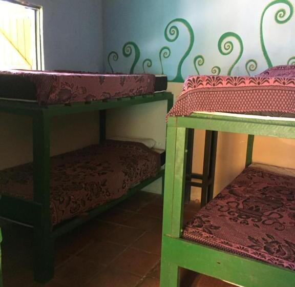 Четырехместный Номер Стандарт Вид на Море, Hostel Casa De Jack