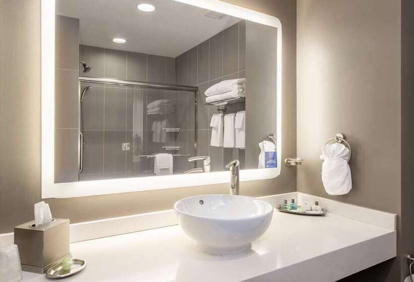 带双人大床的行政管理套房, Conrad New York Downtown