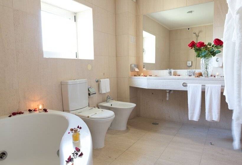 اتاق سوپریور با وان آب گرم, De Ilhavo Plaza & Spa