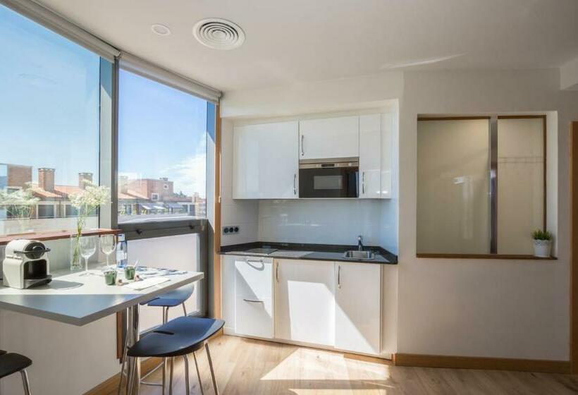 １ベッドルームのデラックスアパートメント, Palacio De Aiete