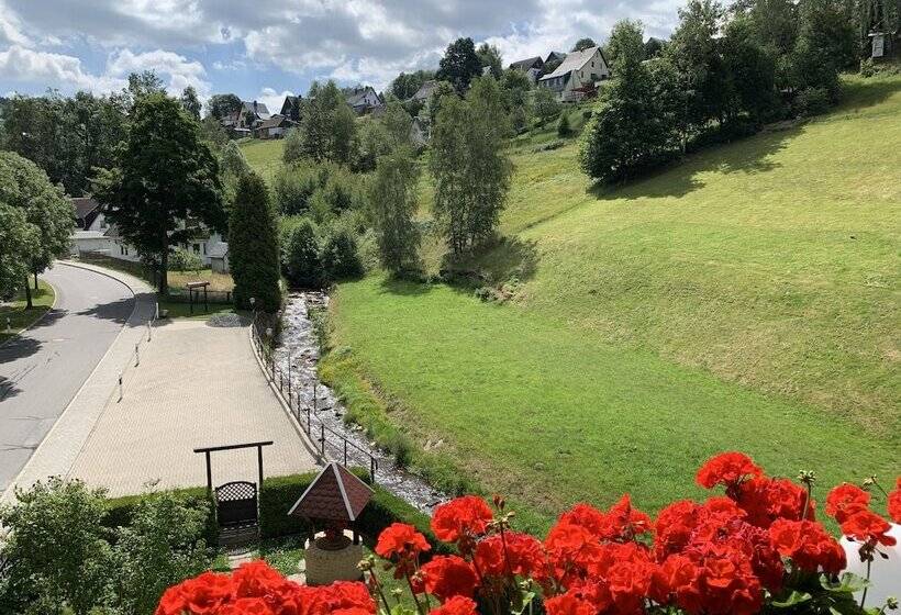 Номер Стандарт Двуспальная Кровать, Pension Weiberwirtschaft In Pobershau