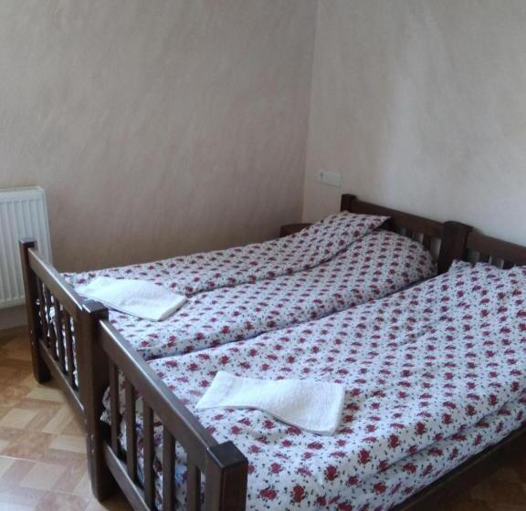 اتاق استاندارد با سرویس بهداشتی مشترک, Family Hotel Mtamta