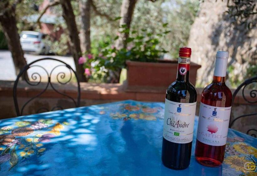 Апартаменты 1 Спальня Вид на Сад, Terre Di Melazzano   Le Case Di Chiara