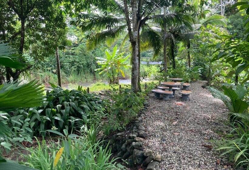 오두막, Yejos Jungle Lodge