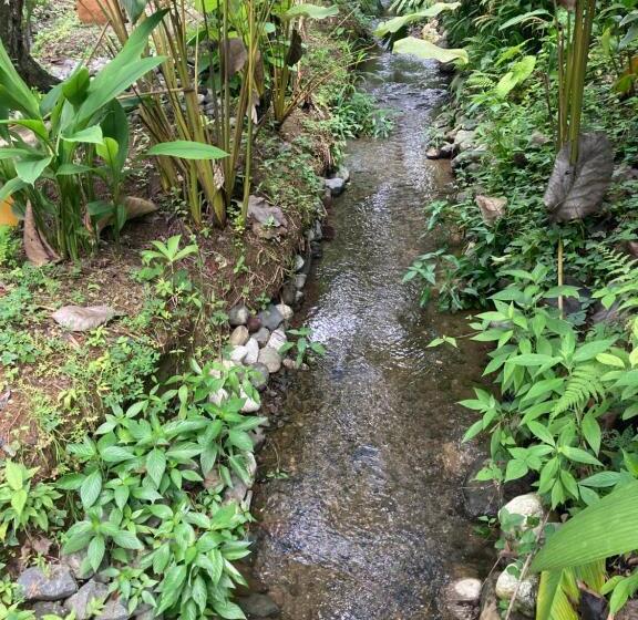 스탠다드 방갈로 정원 전망, Yejos Jungle Lodge