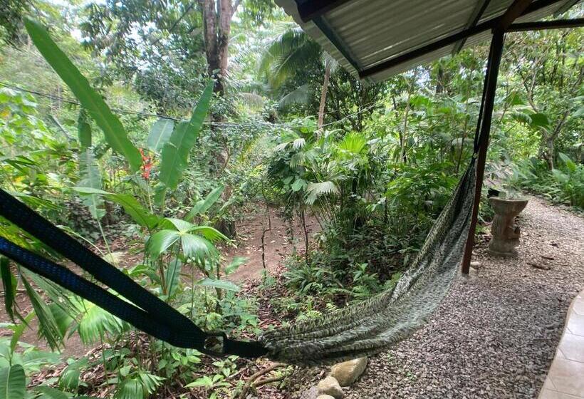 오두막, Yejos Jungle Lodge