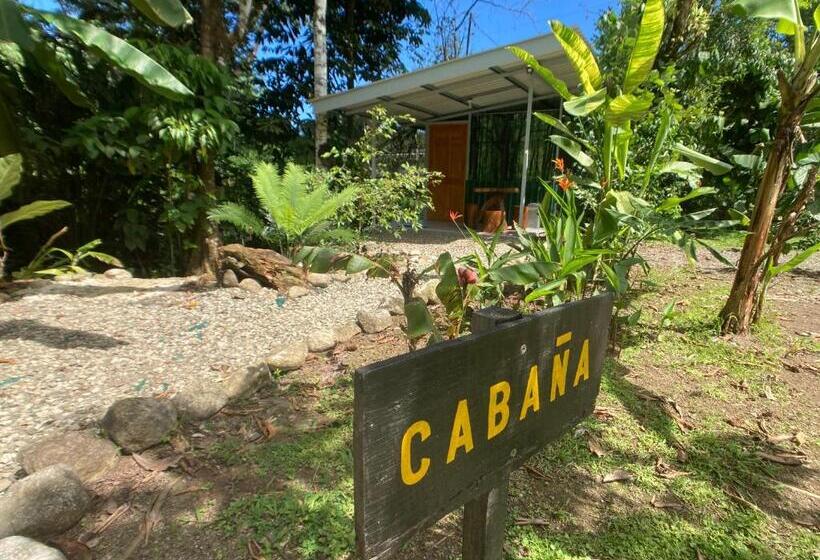 패밀리 방갈로, Yejos Jungle Lodge