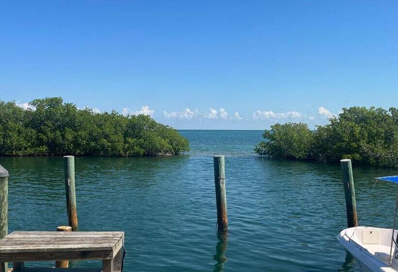 Номер Deluxe, Conch Key Fishing Lodge & Marina