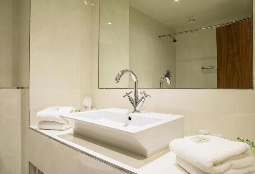 Стандартный Номер Кровать Кинг, Ballyroe Heights