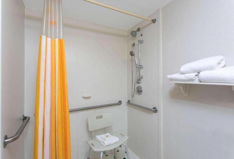 身障者適用キングサイズベッドルーム, La Quinta By Wyndham Jacksonville Butler Blvd