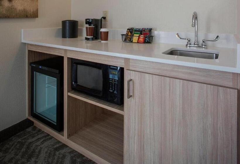 2 베드룸 이그제큐티브 스위트, Springhill Suites By Marriott New Orleans Warehouse Arts District