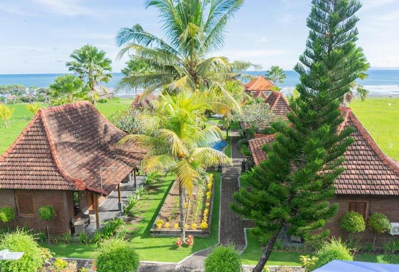 Номер Стандарт Вид на Бассейн, Arton Resort & Beach Club