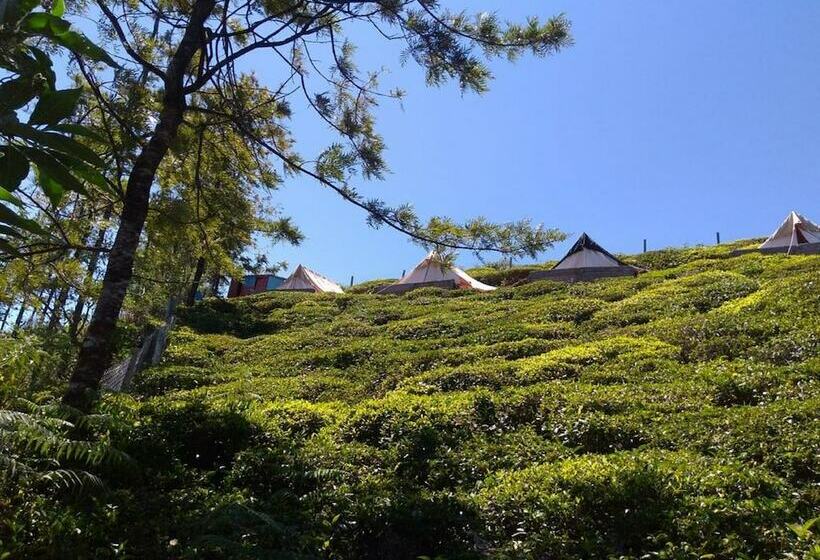 Basic Tent, Janardan Tea Resort   Campsite