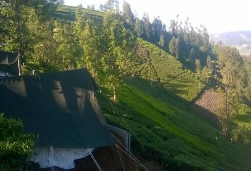 Standard Tent, Janardan Tea Resort   Campsite