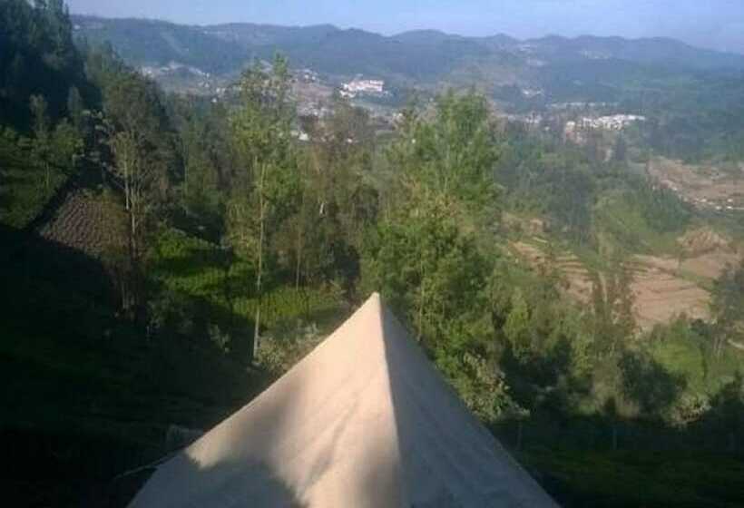 Standard Tent, Janardan Tea Resort   Campsite