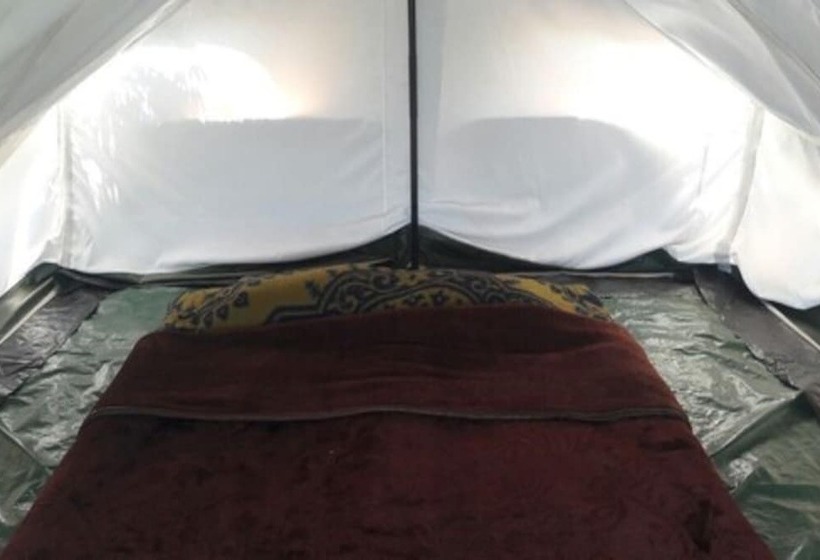 Standard Tent, Janardan Tea Resort   Campsite