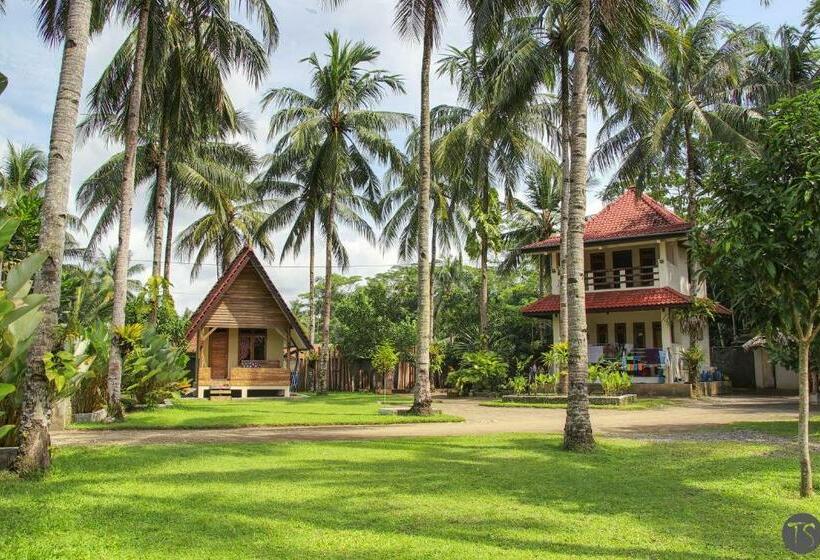 Бунгало Стандарт, Sadati Home Stay