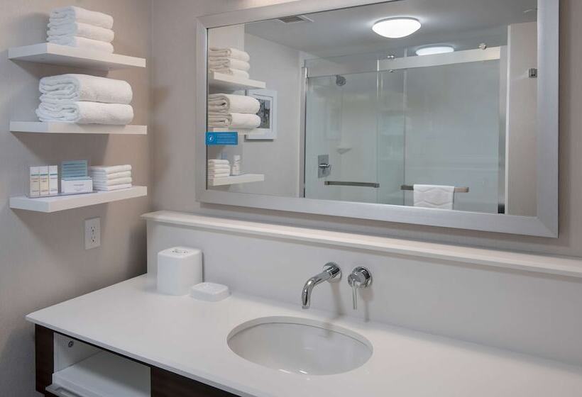 스탠다드 룸 더블 침대 2개, Hampton Inn Bostonlogan Airport
