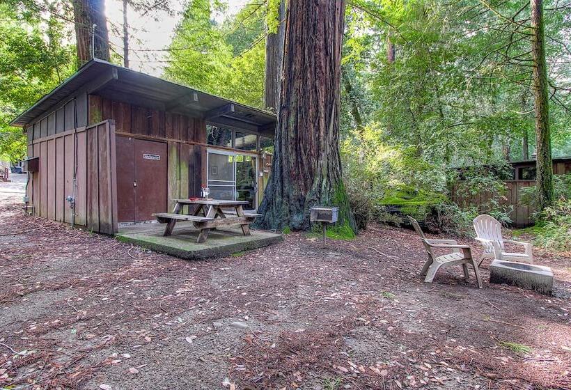 Хижина Deluxe, Redwoods River Resort