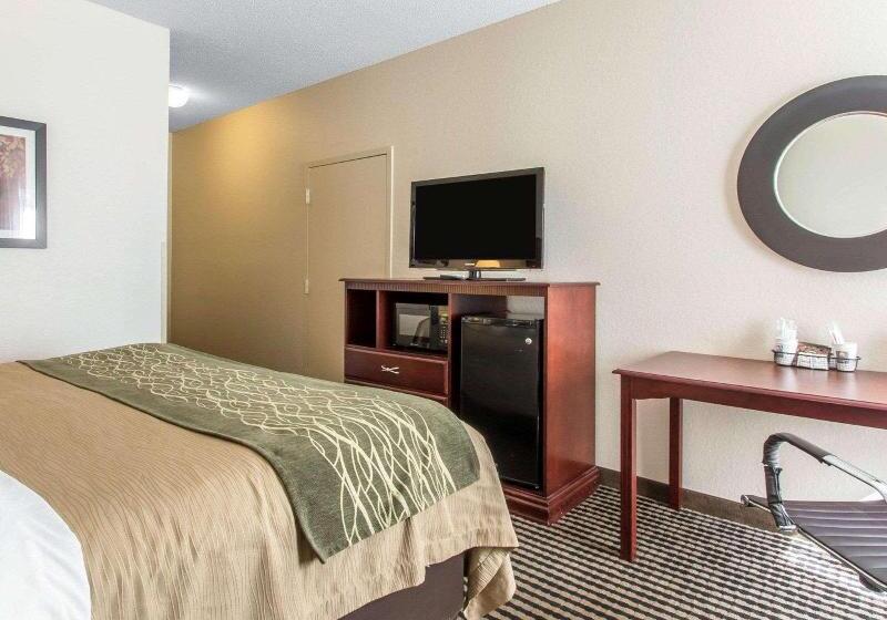 스탠다드 룸 킹사이즈 침대, Comfort Inn Birmingham  Irondale
