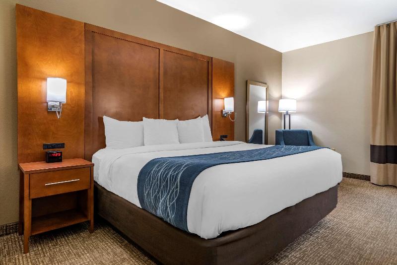 스탠다드 룸 킹사이즈 침대, Comfort Inn Birmingham  Irondale