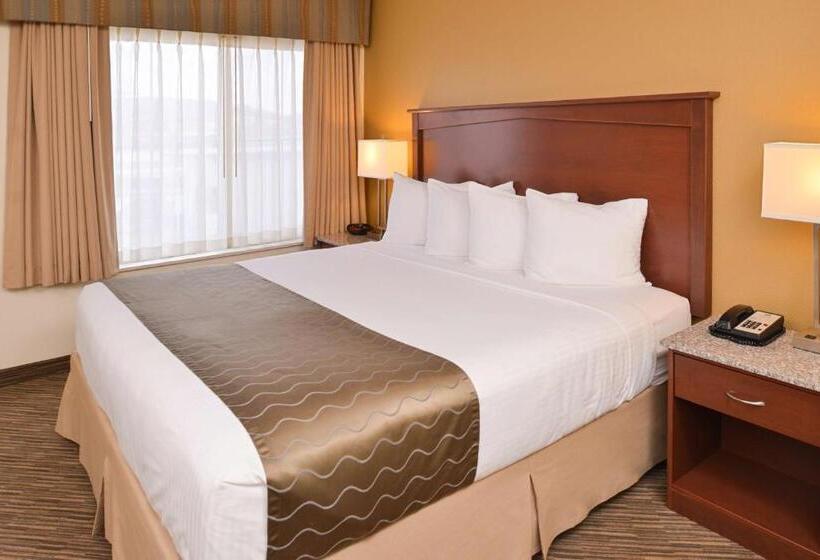 身障者適用キングサイズベッドルーム, Best Western Executive Inn & Suites