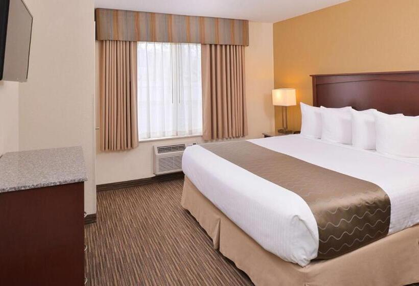 身障者適用スイートルーム, Best Western Executive Inn & Suites