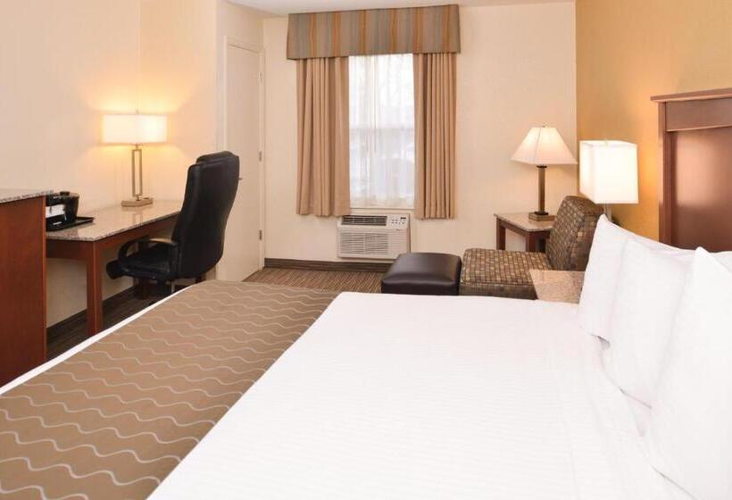 キングサイズベッドのスタンダードルーム, Best Western Executive Inn & Suites