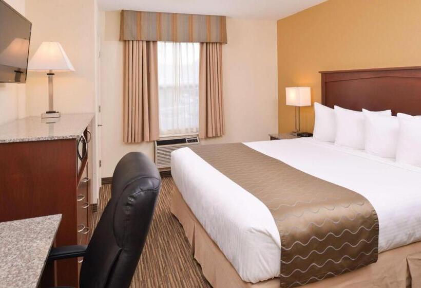 キングサイズベッドのスタンダードルーム, Best Western Executive Inn & Suites