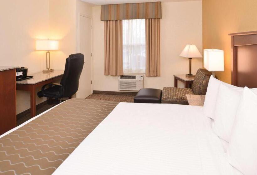 Стандартный Номер Кровать Кинг, Best Western Executive Inn & Suites