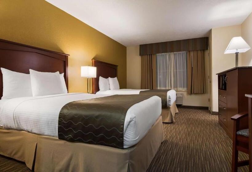 スタンダードルーム, Best Western Executive Inn & Suites
