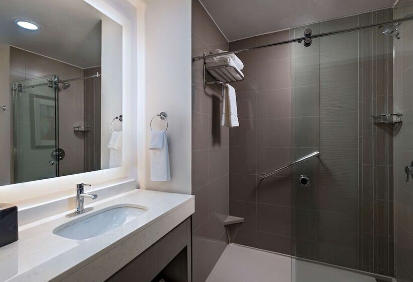 带四张床的标准工作室, Hyatt House Carlsbad