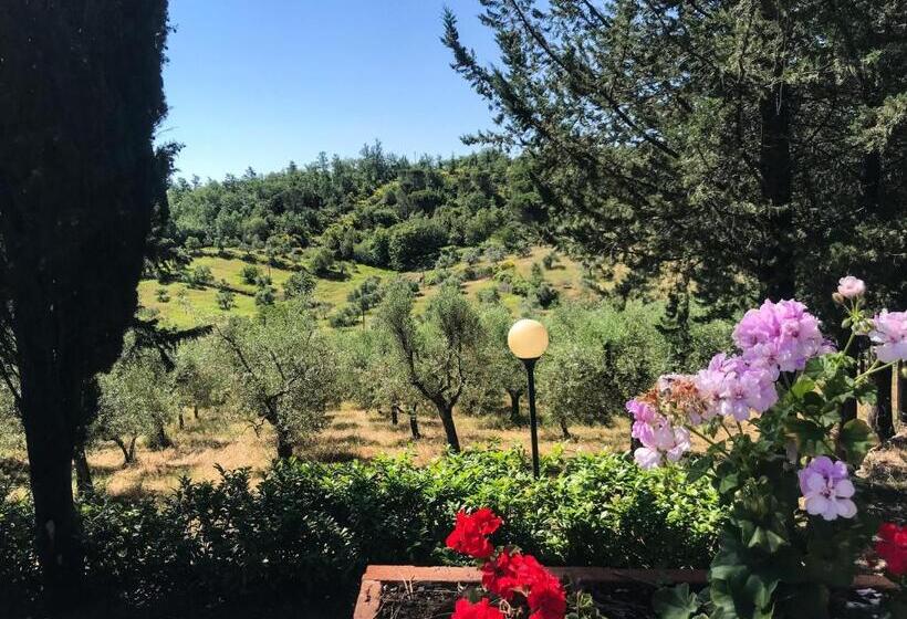 Апартаменты 1 Спальня, Agriturismo Testalepre
