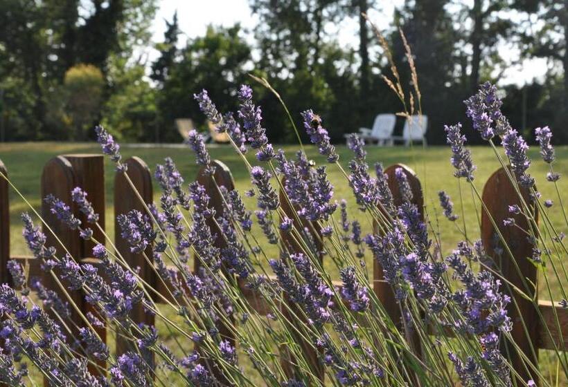 Апартаменты 1 Спальня, Agriturismo Testalepre