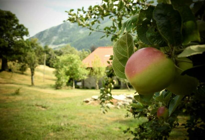 Номер Стандарт, Ca Jo Bed And Breakfast