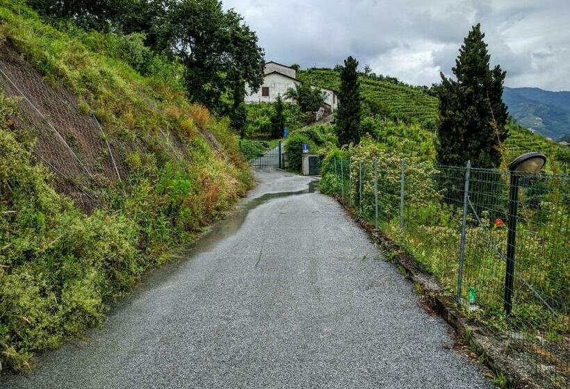 اتاق استاندارد, Sally S B&b